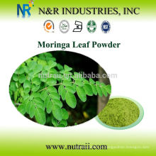 Fornecedor Confiável Moringa Leaf Powder